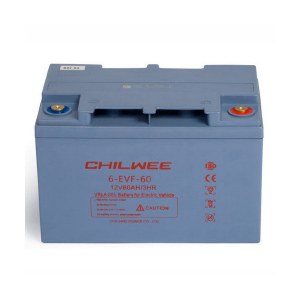   CHILWEE 6-EVF-60 12 66