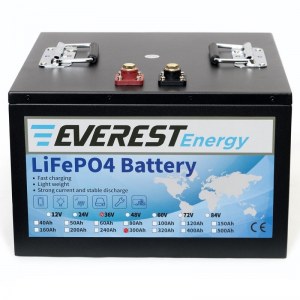 Everest Energy LFP-36V300AH -  36 300