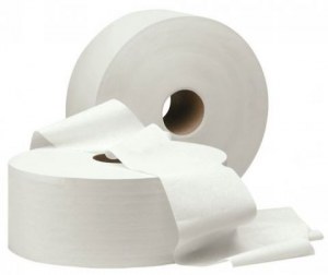 Туалетная бумага в рулонах "Эконом" maxi