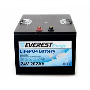 Everest Energy LFP-24V202AH Литий-ионный аккумулятор 24В 202Ач