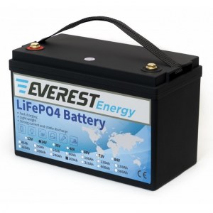 Everest Energy LFP-24V300AH -  24 300