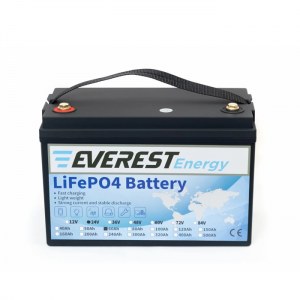 Everest Energy LFP-24V60AH -  24 60
