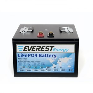 Everest Energy LFP-24V100AH -  24 100