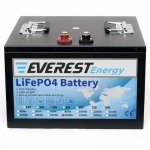 Everest Energy LFP-36V300AH Литий-ионный аккумулятор 36В 300Ач