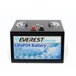 Everest Energy LFP-24V100AH Литий-ионный аккумулятор 24В 100Ач